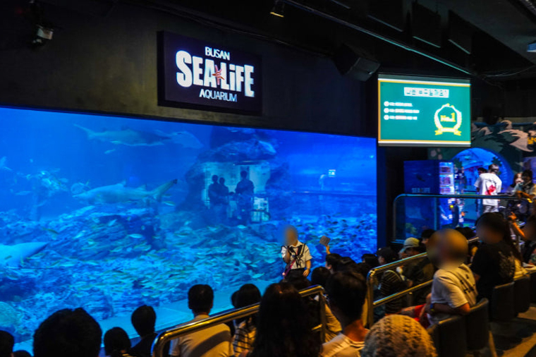 _SEA LIFE 水族館(美人魚表演秀).jpg