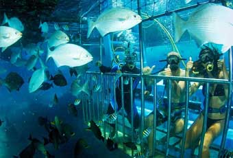 巴里島金銀島+海底監獄一日遊