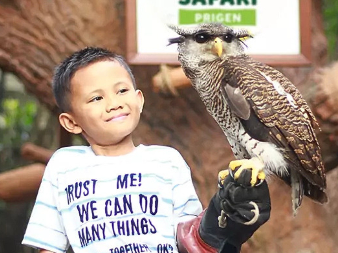 印尼泗水-普里根野生動物園（Taman Safari Prigen）