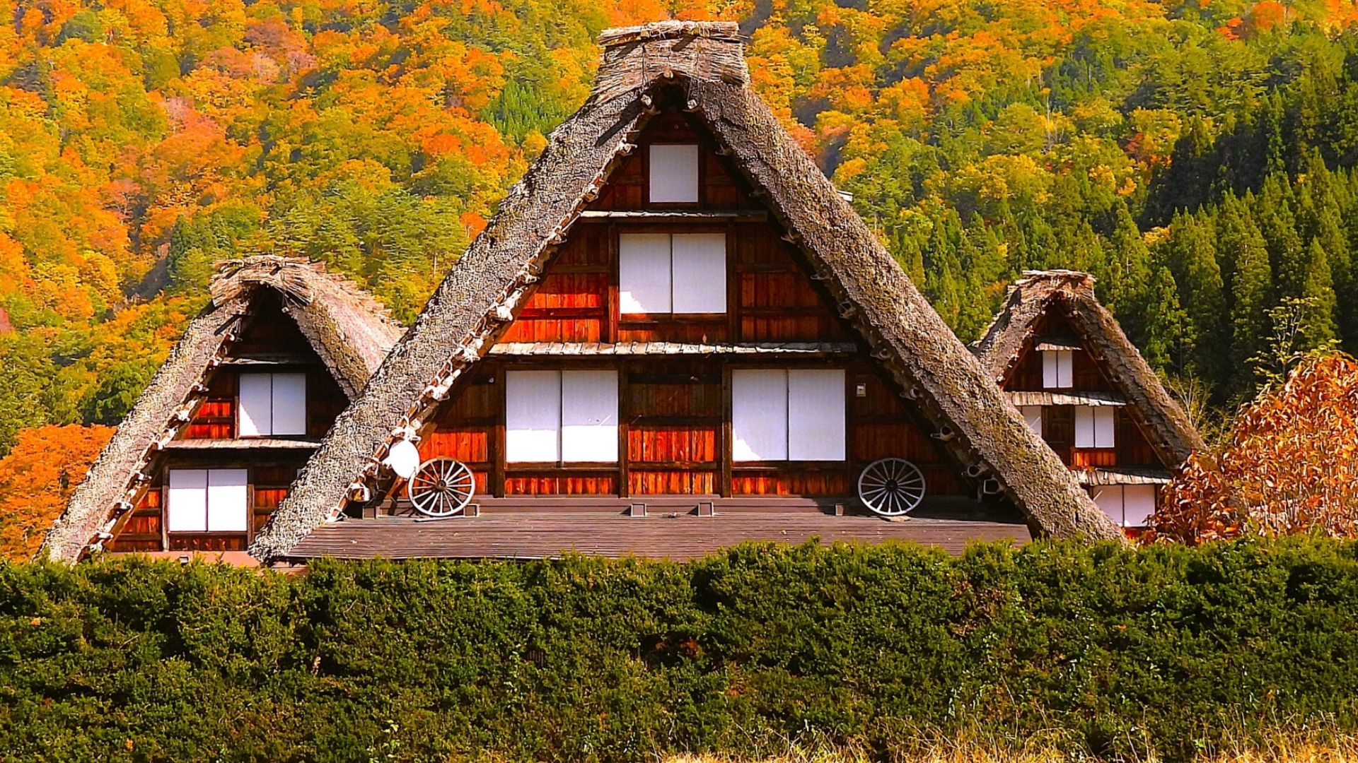 白川鄉合掌村-譽為童話村落的世界文化遺產