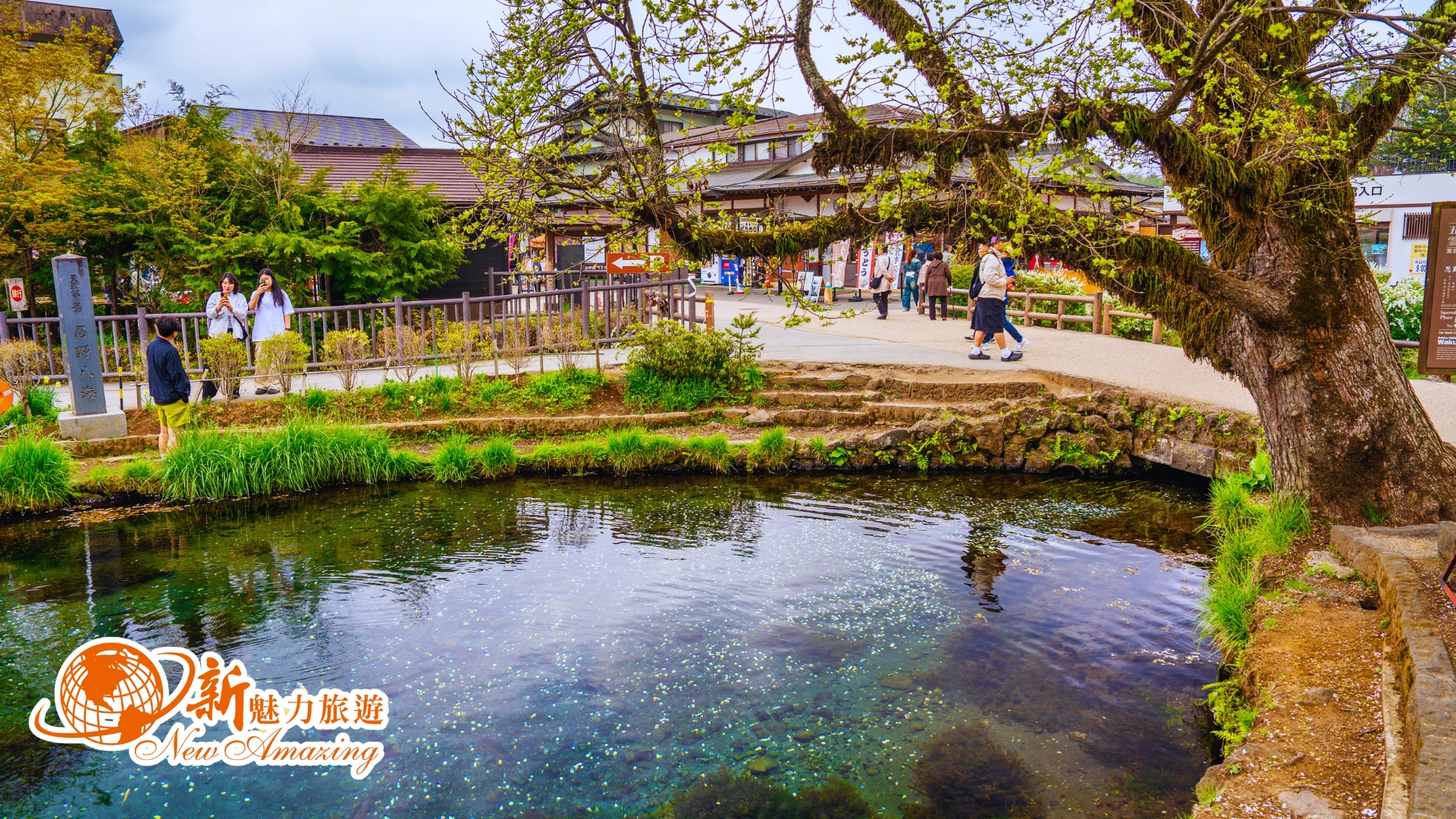 忍野八海交通美食全攻略