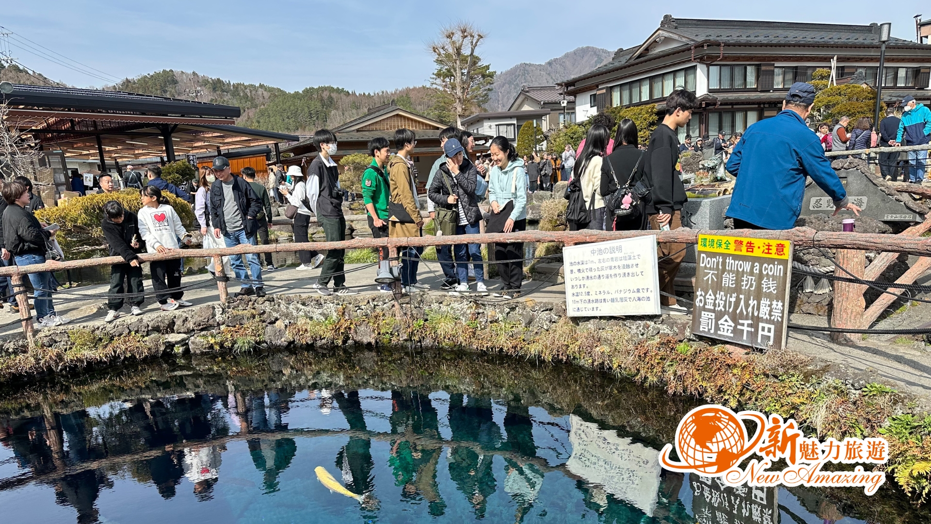 忍野八海交通美食全攻略