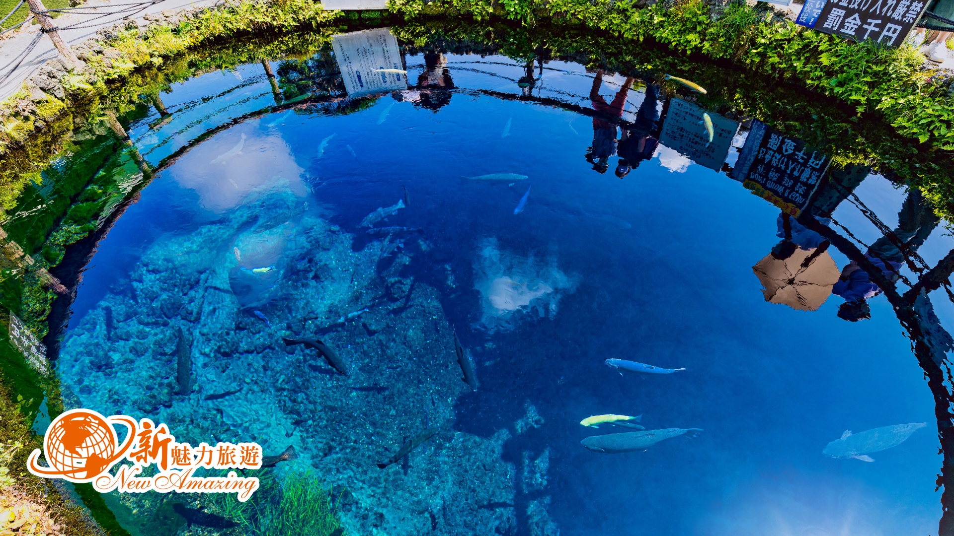 忍野八海交通美食全攻略