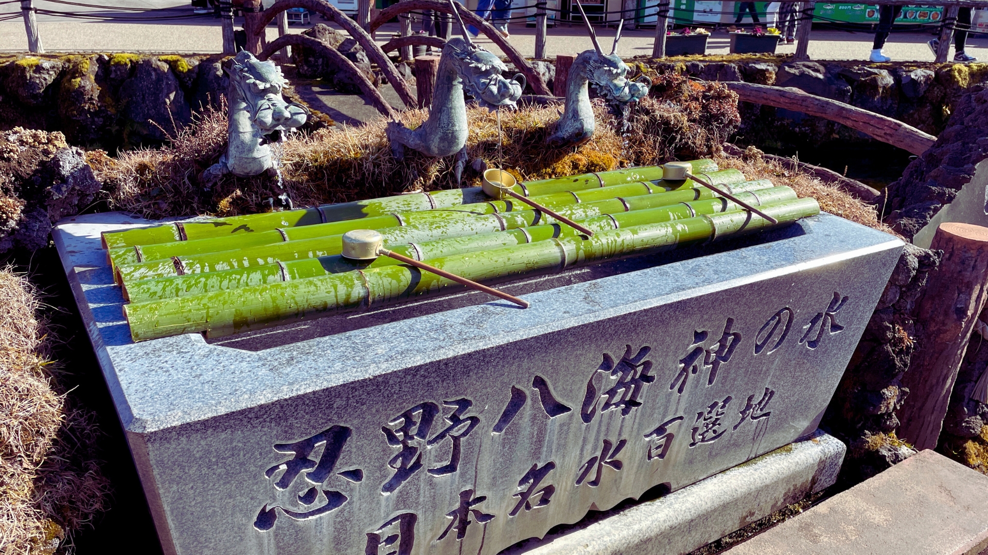 忍野八海的泉水